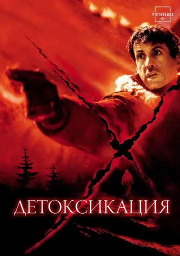Постер к фильму "Детоксикация" #376242