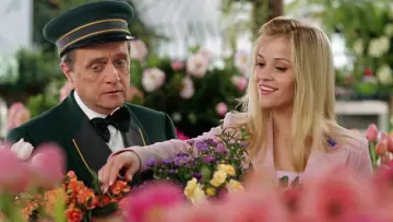 Задник к фильму "Блондинка в законе 2" #673060