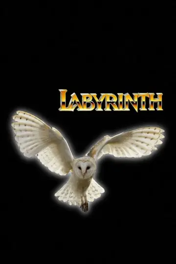 Постер к фильму "Лабиринт" #659173