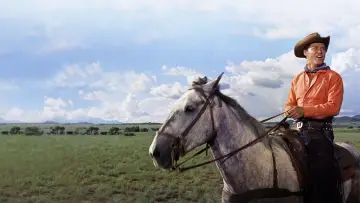 Задник к фильму "Оклахома!" #358351