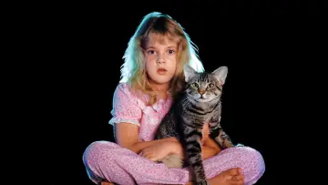 Задник к фильму "Кошачий глаз" #264710