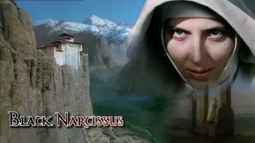 Задник к фильму "Чёрный нарцисс" #153037