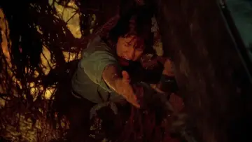 Задник к фильму "Техасская резня бензопилой 2" #1645122