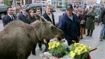 Задник к фильму "Добро пожаловать в Музпорт" #1527667