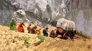 Задник к фильму "Westward the Women" #1064384