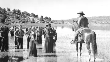 Задник к фильму "Westward the Women" #1064387