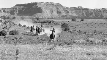 Задник к фильму "Westward the Women" #1064396