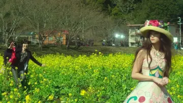 Задник к фильму "Хелтер-скелтер" #920796