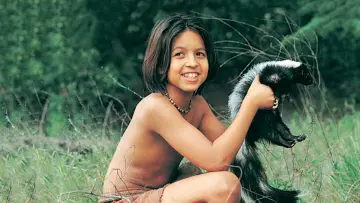 Задник к фильму "The Jungle Book: Mowgli