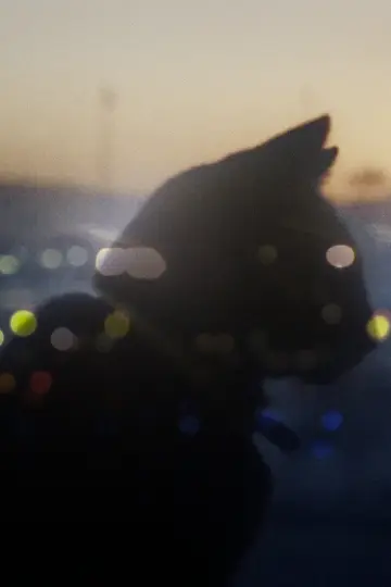 Постер к фильму "Somos animales" #1151073