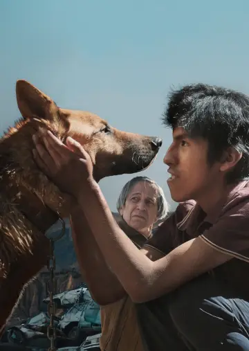 Постер к фильму "El Ladrón de Perros" #1118777