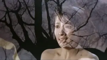 Задник к фильму "三人の女　夜の蝶" #1619799