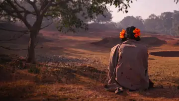 Задник к фильму "To Kill a Tiger" #413802