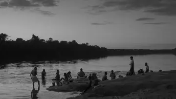 Adieu sauvage постер