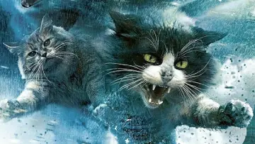 Задник к фильму "Catnado" #1786316