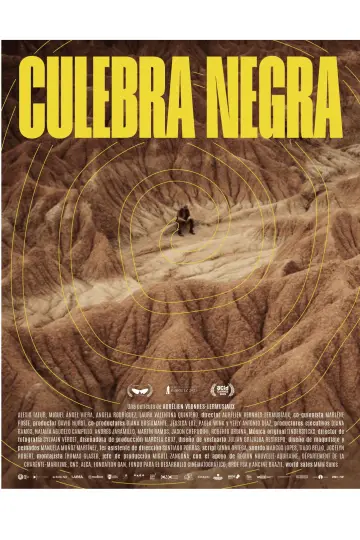 Постер к фильму "La Couleuvre noire" #768598
