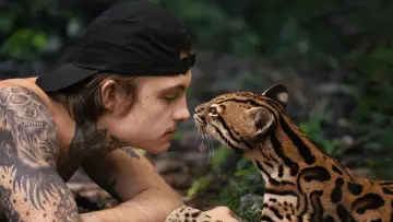 Задник к фильму "Wildcat" #1640845