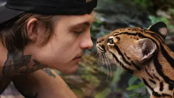 Задник к фильму "Wildcat" #1640846