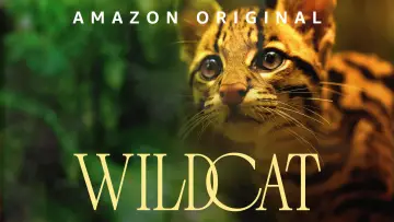 Задник к фильму "Wildcat" #1640854