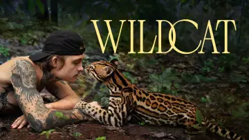 Задник к фильму "Wildcat" #1640856