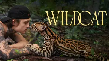 Задник к фильму "Wildcat" #1640857