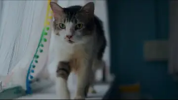 Задник к фильму "Max, Min and Meowzaki" #953225