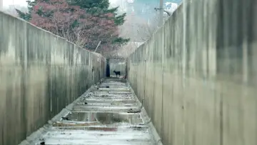 Задник к фильму "생츄어리" #476941