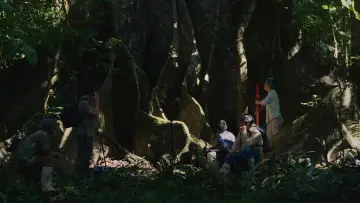 Задник к фильму "Lejos de los árboles" #1212360