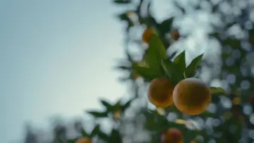 Задник к фильму "Мальчишки из «Никеля»" #598747
