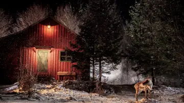 Задник к фильму "Prancer: A Christmas Tale" #429117