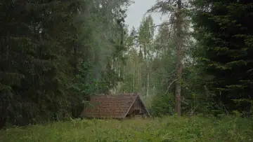 Задник к фильму "Сестринство бани по-чёрному" #756205