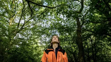 Задник к фильму "The Arborist" #737480