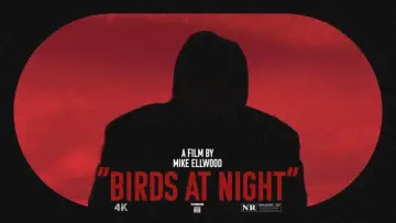 Задник к фильму "Birds at Night" #464821