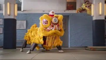 Задник к фильму "Kung Fu Leeuw" #427345