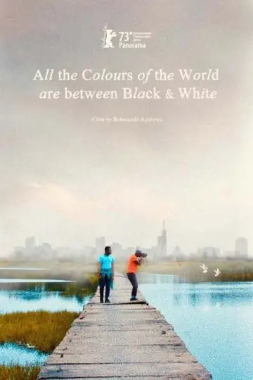 Постер к фильму "All the Colours of the World Are Between Black and White" #1090995
