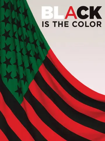 Постер к фильму "Black Is the Color: African-American Artists and Segregation" #1616933