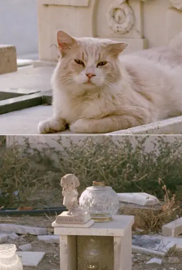 Постер к фильму "Sorry to See You Go" #365687