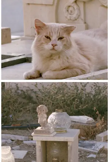 Постер к фильму "Sorry to See You Go" #365688