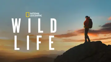 Задник к фильму "Wild Life" #1649510