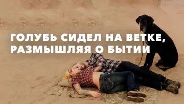 Задник к фильму "Голубь сидел на ветке, размышляя о бытии" #994376