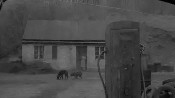 Задник к фильму "Сумерки" #1172897