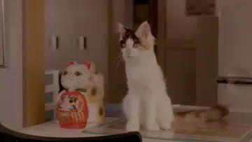 Задник к фильму "Кошка напрокат" #1577998