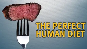 Задник к фильму "The Perfect Human Diet" #397584