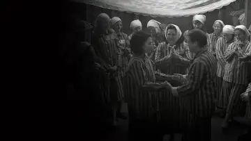 Задник к фильму "Бау: Художник на войне" #781408