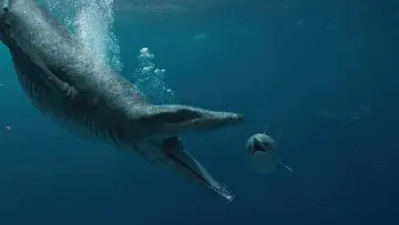 Задник к фильму "Attenborough and the Giant Sea Monster" #197782