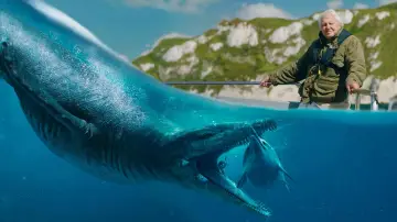 Задник к фильму "Attenborough and the Giant Sea Monster" #747484