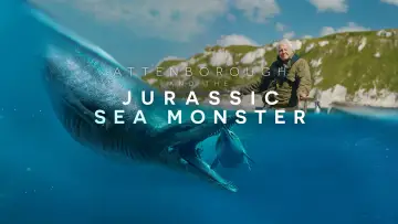 Задник к фильму "Attenborough and the Giant Sea Monster" #984092