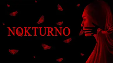 Задник к фильму "Nokturno" #1572315
