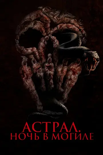 Постер к фильму "Астрал. Ночь в могиле" #654533