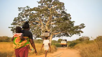 Задник к фильму "Territorio Africano 2" #420654